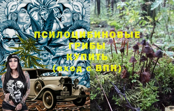 MDMA Premium VHQ Богородицк