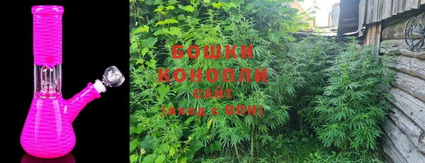 амф Богданович