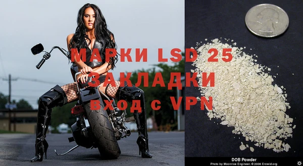 амф Богданович