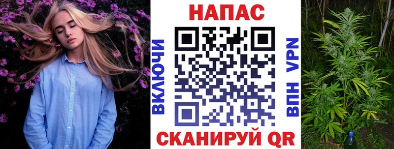 Бошки Шишки тримм  Краснознаменск 